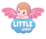 Little Wings