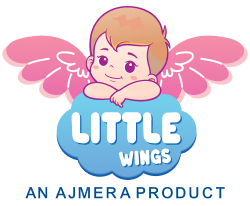 Little Wings