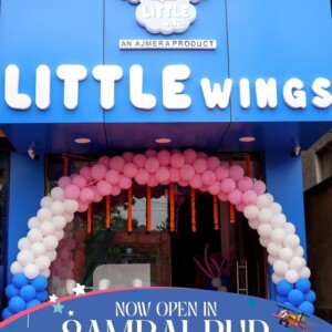 Little Wings Opening