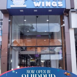 Little Wings Opening